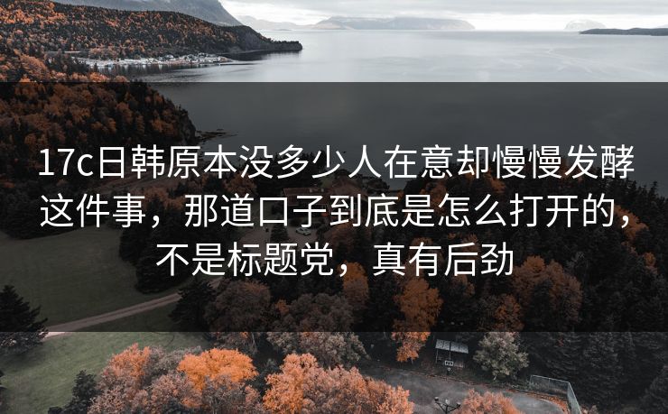 17c日韩原本没多少人在意却慢慢发酵这件事,那道口子到底是怎么打开的,不是标题党,真有后劲