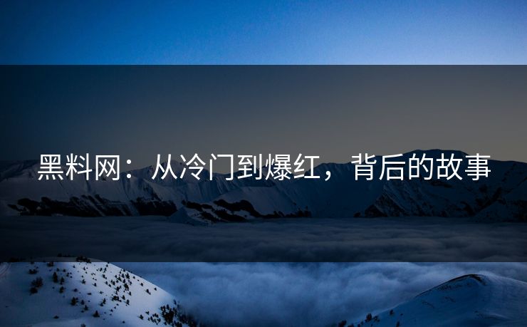 黑料网：从冷门到爆红，背后的故事