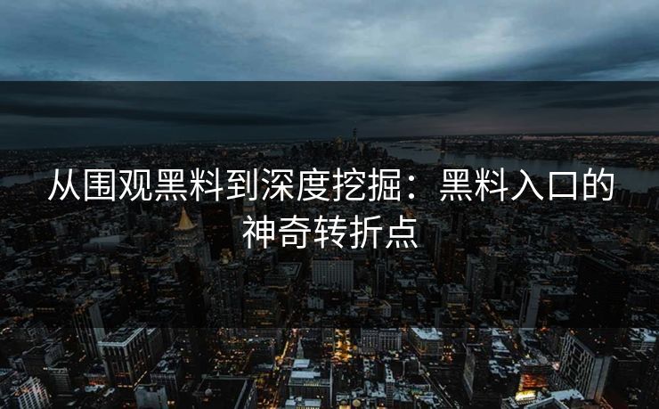 从围观黑料到深度挖掘:黑料入口的神奇转折点