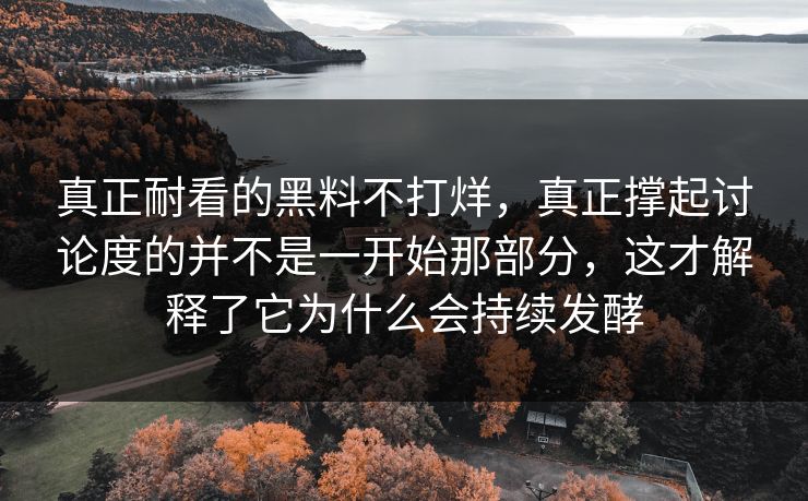 真正耐看的黑料不打烊,真正撑起讨论度的并不是一开始那部分,这才解释了它为什么会持续发酵