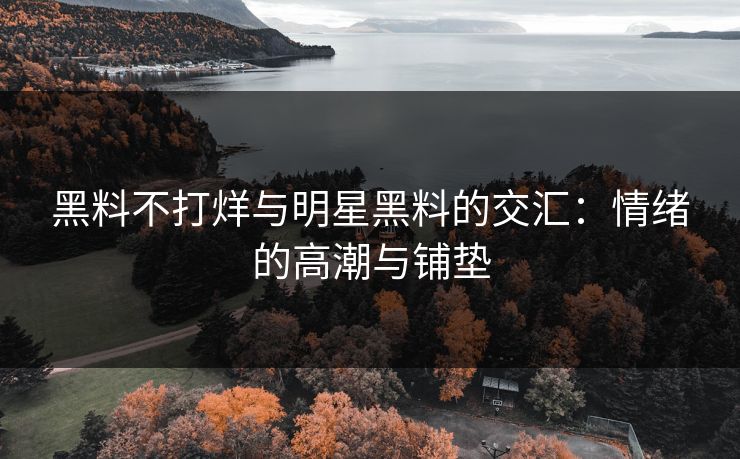黑料不打烊与明星黑料的交汇:情绪的高潮与铺垫 黑料不打烊与明星黑料的交汇:情绪的高潮与铺垫
