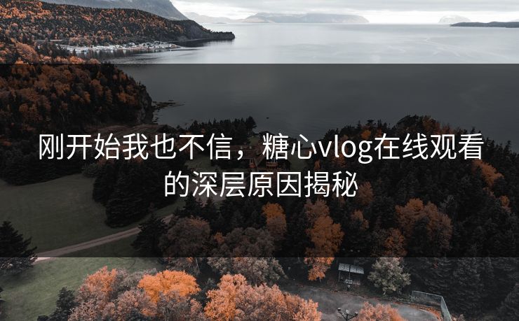 刚开始我也不信,糖心vlog在线观看的深层原因揭秘