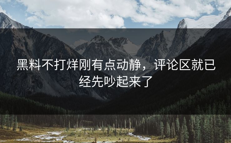 黑料不打烊刚有点动静,评论区就已经先吵起来了