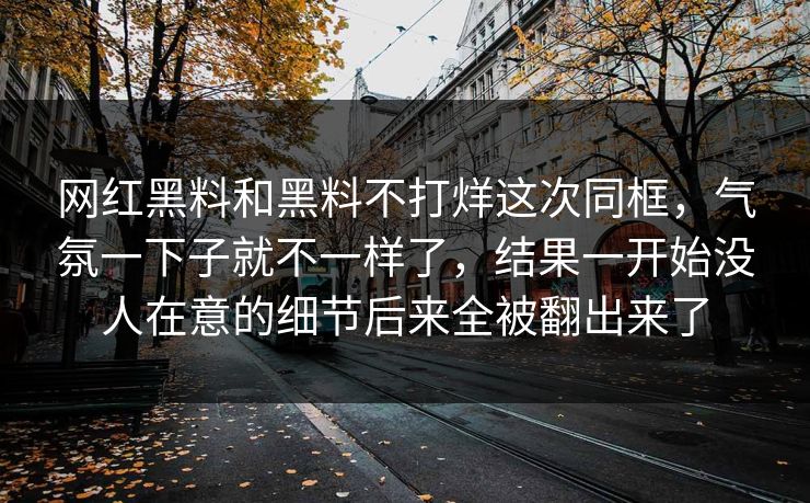 网红黑料和黑料不打烊这次同框,气氛一下子就不一样了,结果一开始没人在意的细节后来全被翻出来了
