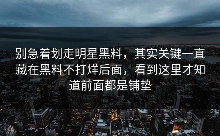 别急着划走明星黑料,其实关键一直藏在黑料不打烊后面,看到这里才知道前面都是铺垫