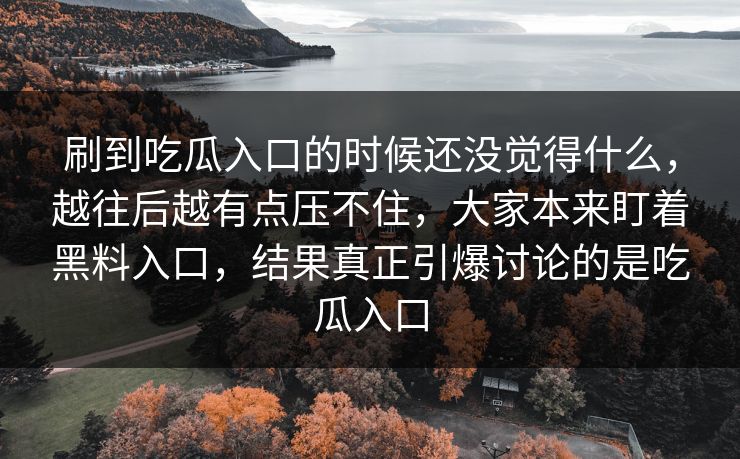 刷到吃瓜入口的时候还没觉得什么,越往后越有点压不住,大家本来盯着黑料入口,结果真正引爆讨论的是吃瓜入口