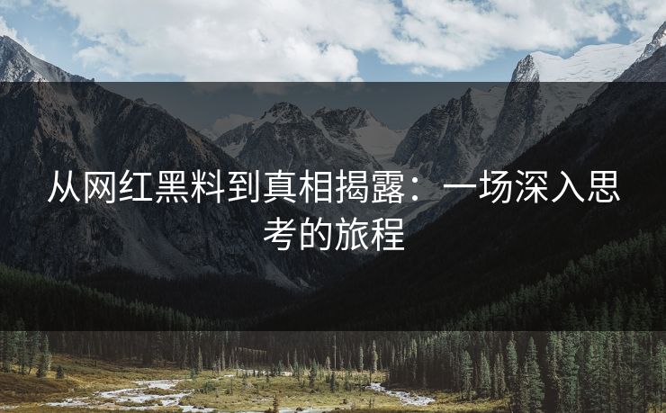 从网红黑料到真相揭露:一场深入思考的旅程