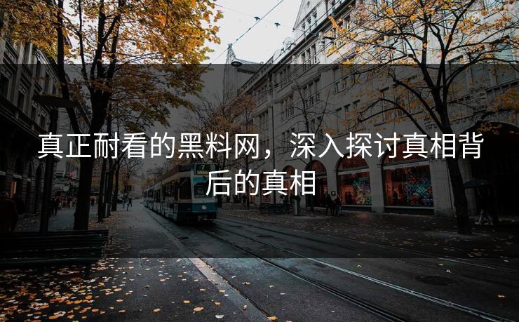 真正耐看的黑料网，深入探讨真相背后的真相