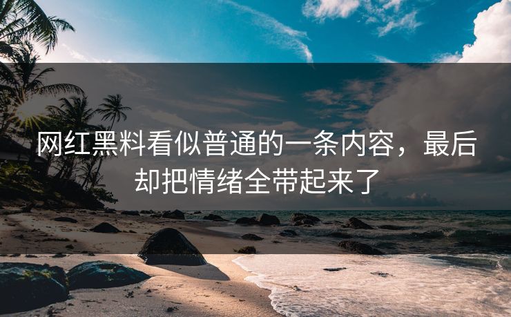 网红黑料看似普通的一条内容,最后却把情绪全带起来了